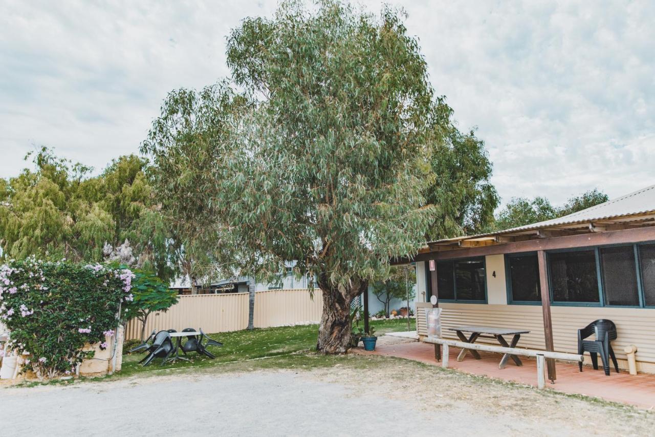 Dongara Hotel Motel Exterior foto